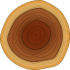 Legno
