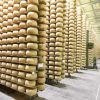 Камеры созревания