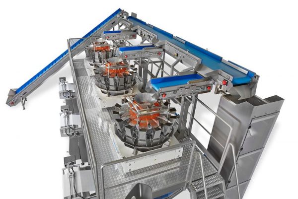 Multiple pillow pack vertical packaging plant